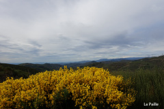 DSC02205