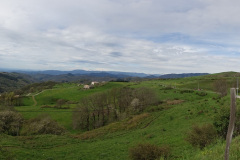 DSC02206