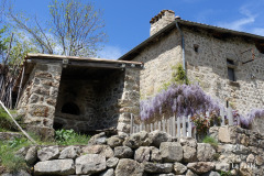DSC02221