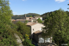 DSC02224