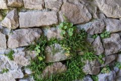IMG_20230504_221611-4