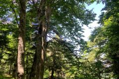 IMG-20220626-WA0014