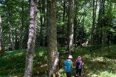 IMG-20220626-WA0015