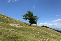 IMG-20220626-WA0016