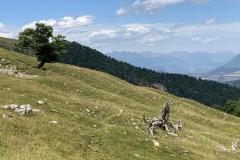IMG-20220626-WA0018