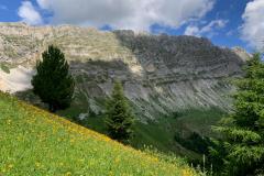 IMG-20220626-WA0031