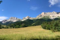 IMG-20220626-WA0037