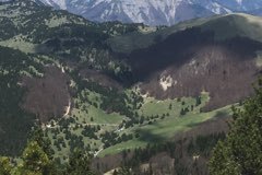 IMG_49301