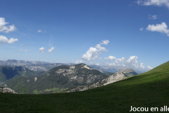 DSC02562