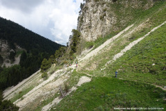 DSC02600