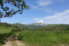 DSC02623