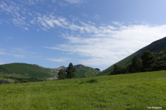DSC02630
