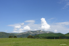 DSC02631