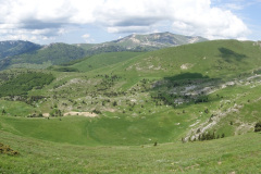 DSC02635