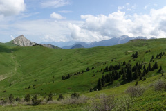 DSC02638