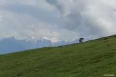 DSC02642