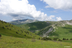 DSC02644