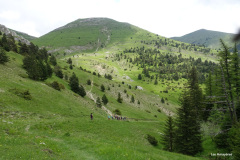 DSC02648