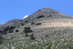 IMG-20230529-WA0032