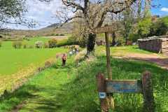 IMG-20260406-WA0011