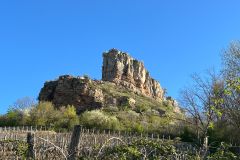 IMG-20260406-WA0020