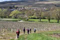 image0000021-2