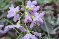 image0000051