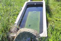 IMG-20260526-WA0003