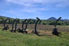 IMG-20260526-WA0005