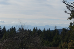 DSC01347