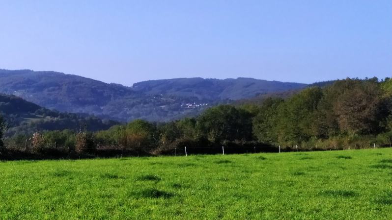 image0000011-22