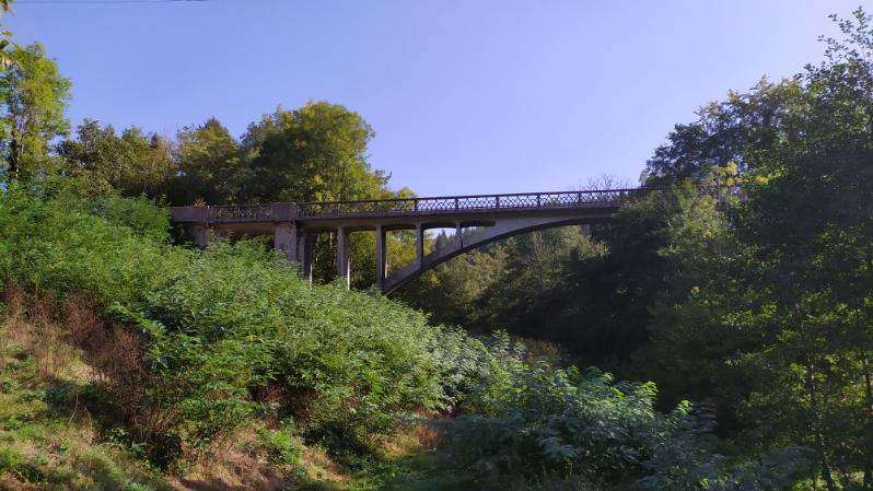 image0000091-6